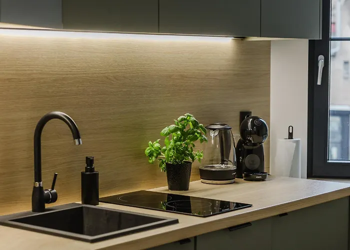 아파트 Center By Kramm - Mieszkanie W Sercu Poznania *