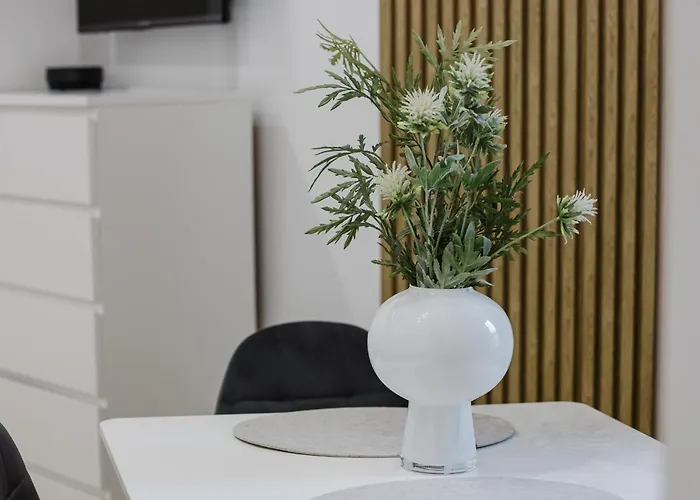 아파트 Center By Kramm - Mieszkanie W Sercu Poznania *