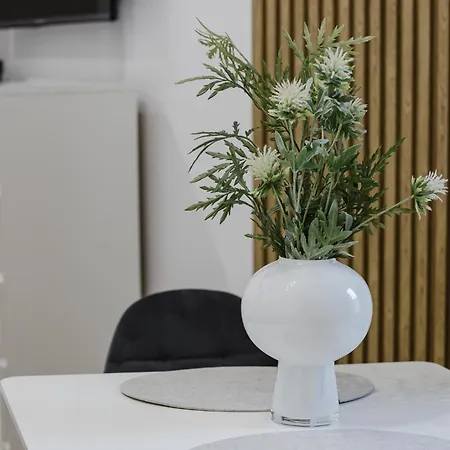 Apartman Center By Kramm - Mieszkanie W Sercu Poznania *