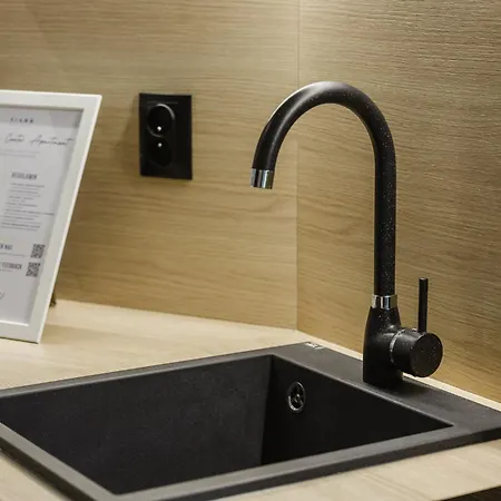 Center By Kramm - Mieszkanie W Sercu Poznania Apartman *